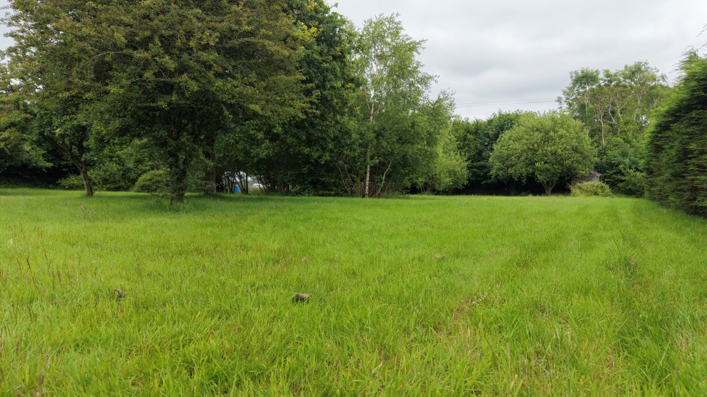 Lot: 31 - LAND WITH OUTLINE PLANNING - Ground view of the property
